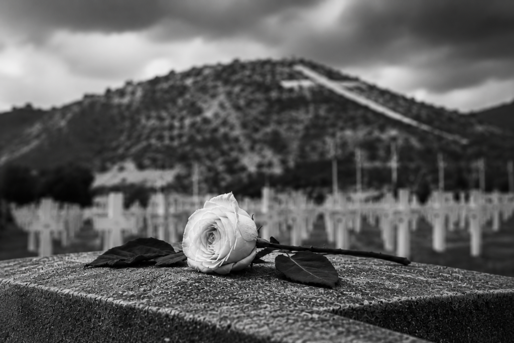 Memoria Para Todos